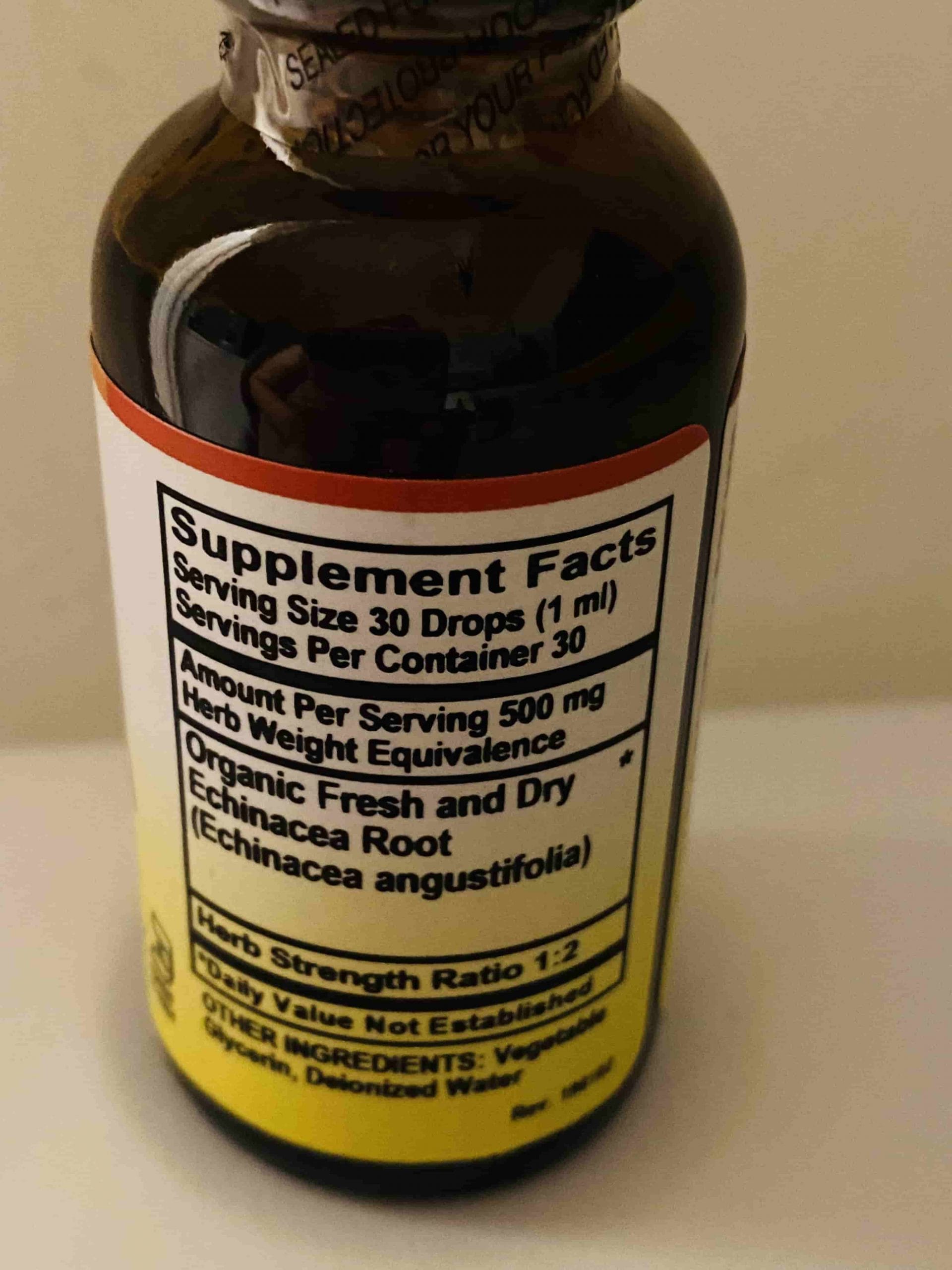Echinacea2-min